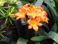 IMG_1476.jpg, 33kB